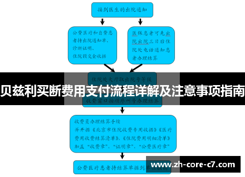 贝兹利买断费用支付流程详解及注意事项指南