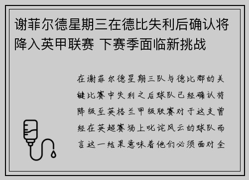 谢菲尔德星期三在德比失利后确认将降入英甲联赛 下赛季面临新挑战
